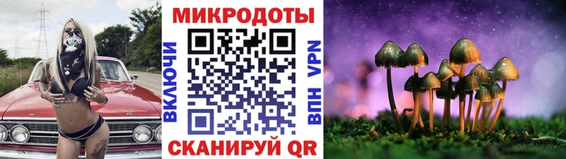Галлюциногенные грибы мицелий Урюпинск