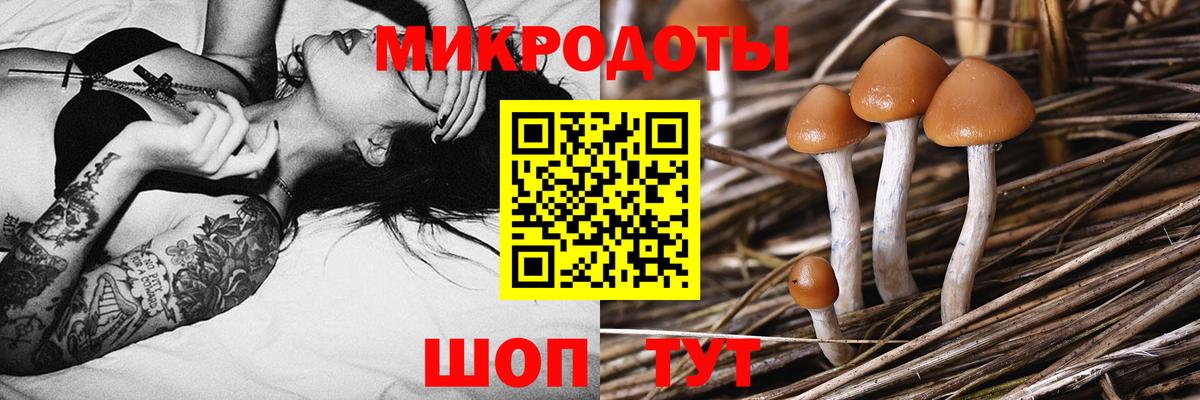 Псилоцибиновые грибы GOLDEN TEACHER Урюпинск